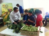 2013-agriculturaEcologicaColegios