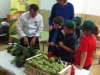 2013-agriculturaEcologicaColegios2
